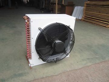 खरीदें DL series DL-2/10 Low Power Consumption Air Cooled Condenser Unit Evaporative Cooling Systems online manufacture