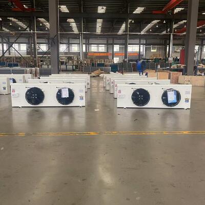 30㎡ कोल्ड स्टोरेज के लिए DL30 6.5kW वॉल माउंट एयर कूलर इवेपोरेटर